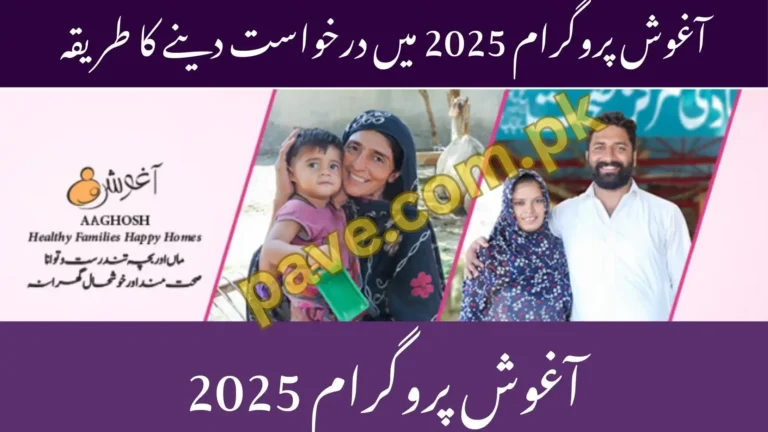 Aghosh Program vs Ehsaas Program October 2025 Which is Better for Mothers 6 Aghosh Program vs Ehsaas Program 2025 Which is