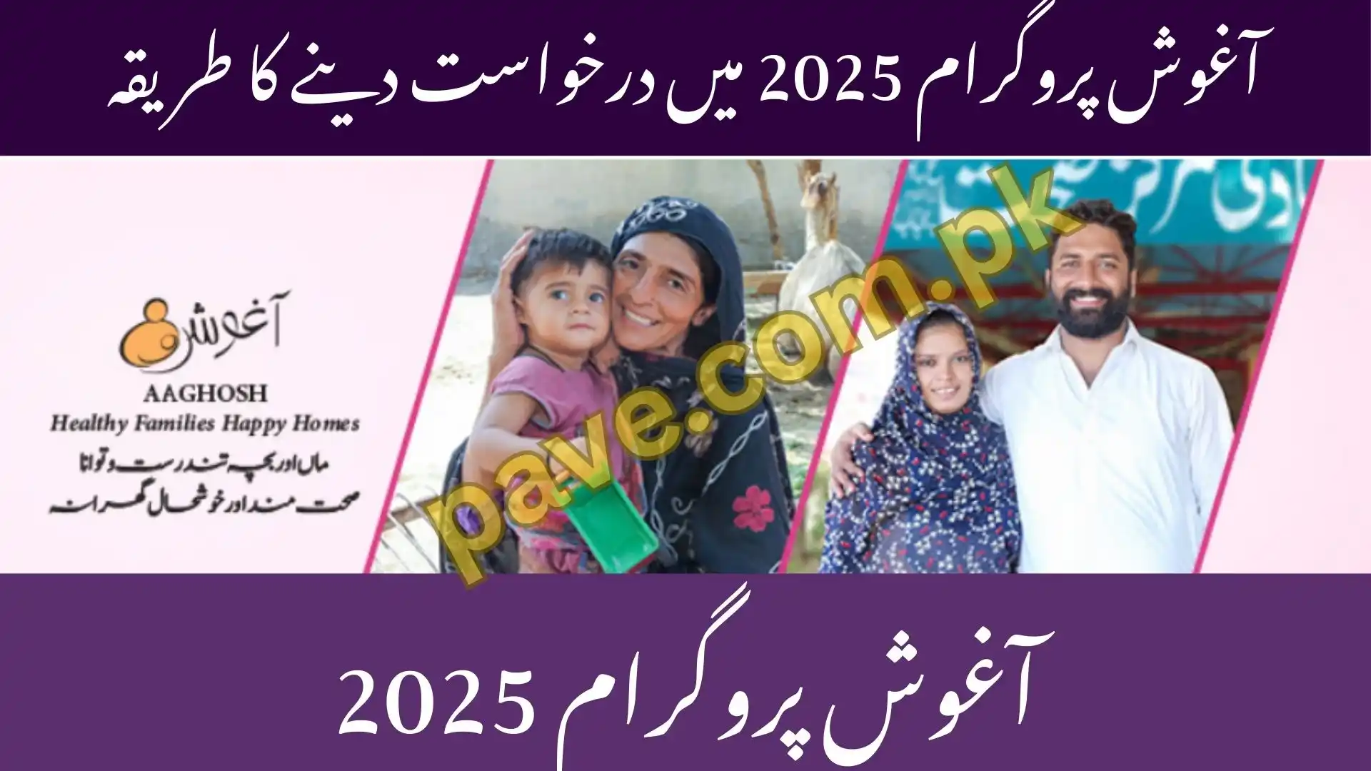 Aghosh Program vs Ehsaas Program 2025 Which is