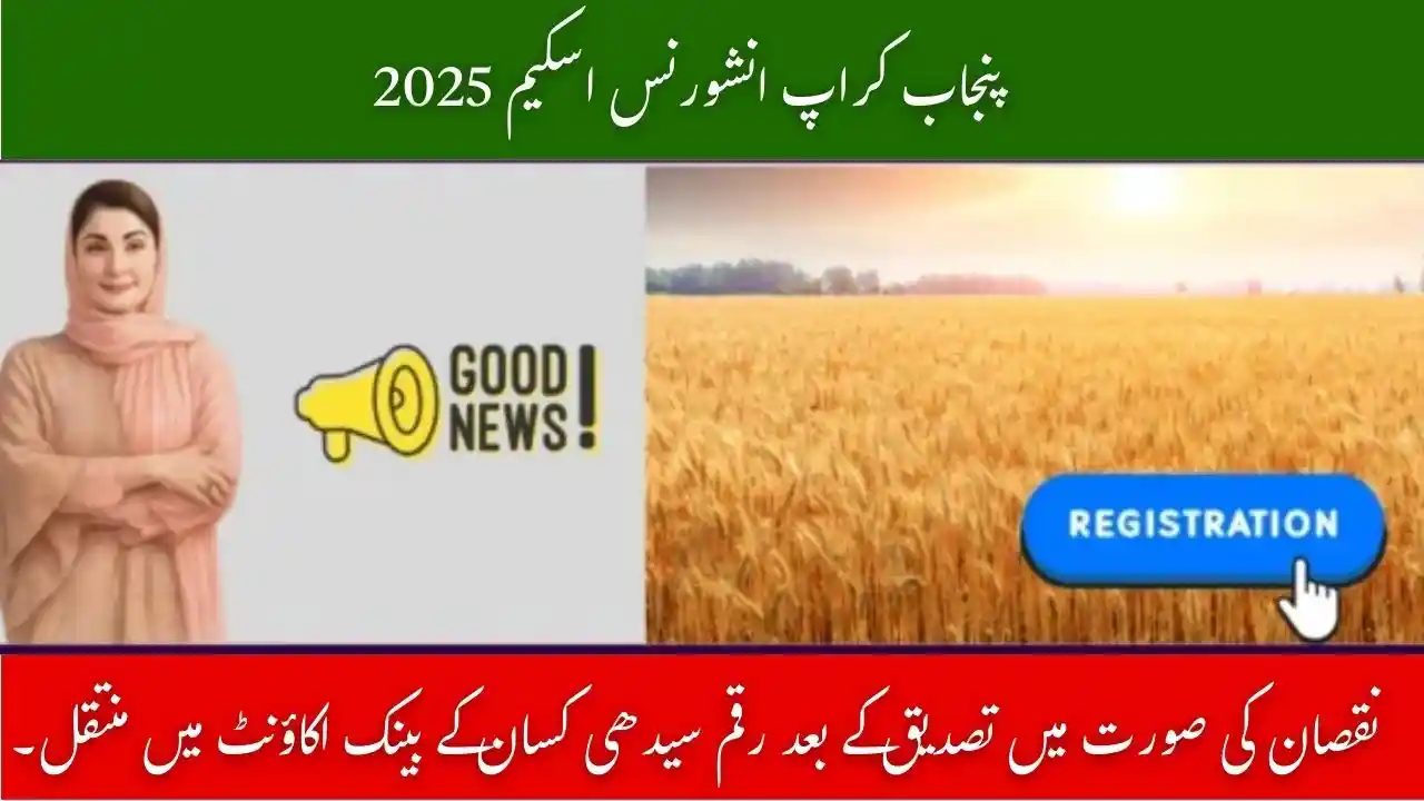 CM Punjab Crop Insurance Scheme