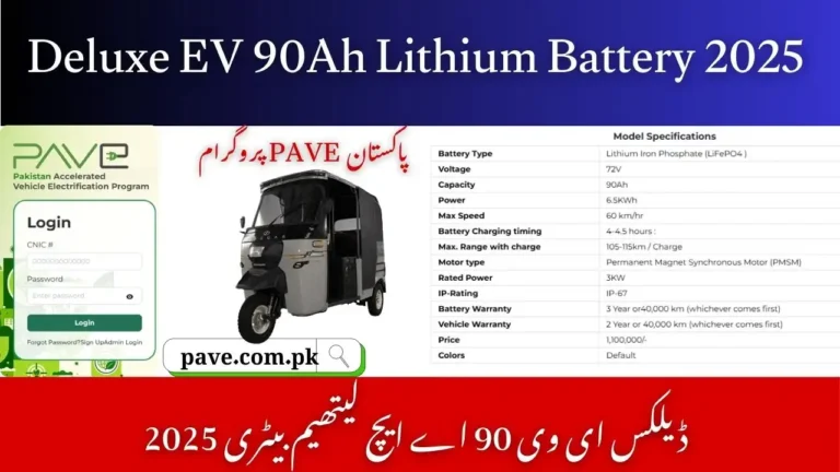 Deluxe EV 90Ah Lithium Battery