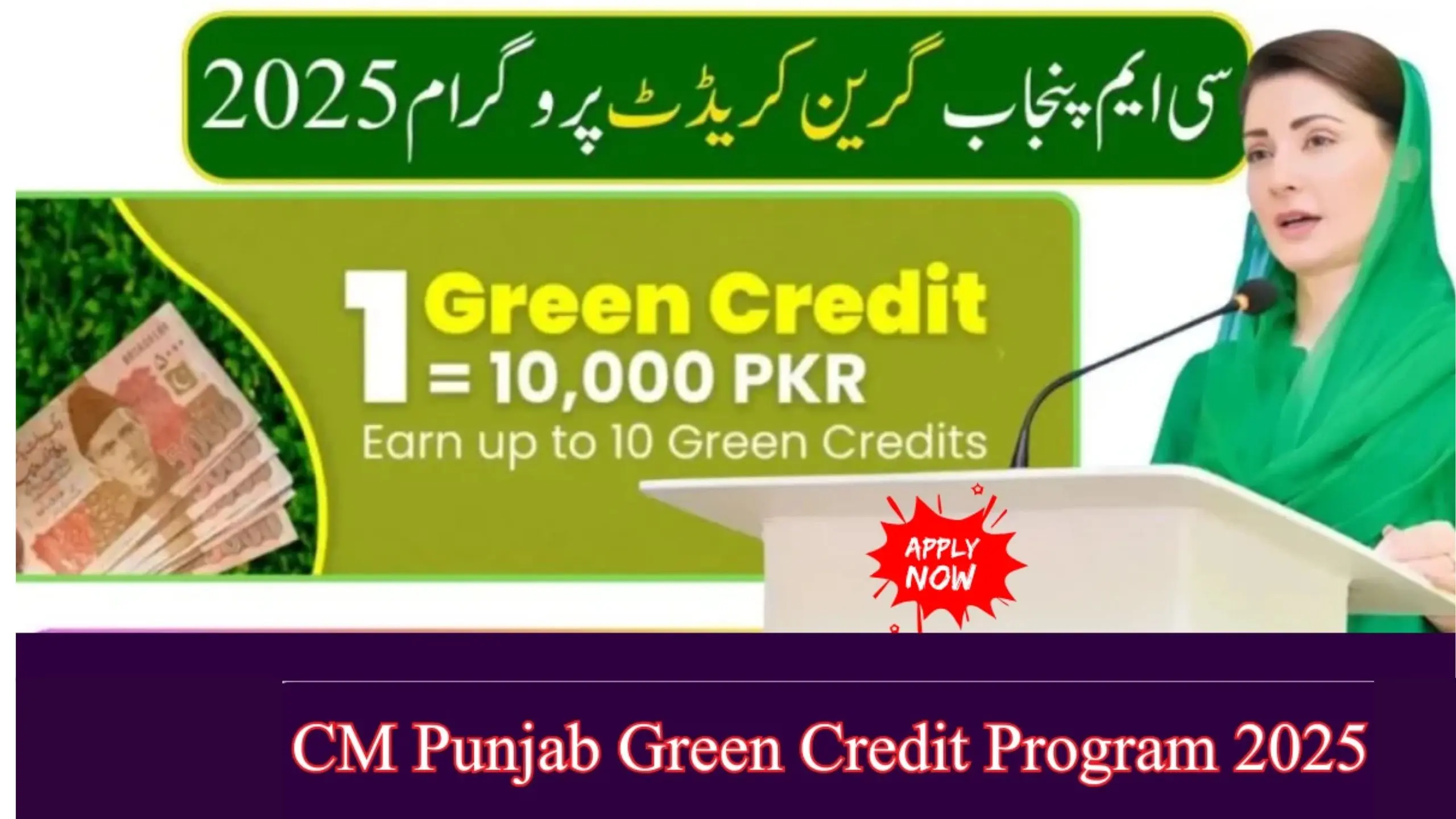 Green Credits Pakistan Benefits Eligibility and Step-by-Step How to Apply in October 2025 1 Green Credits Pakistan Benefits Eligibility and Step-by-Step How to Apply in 2025