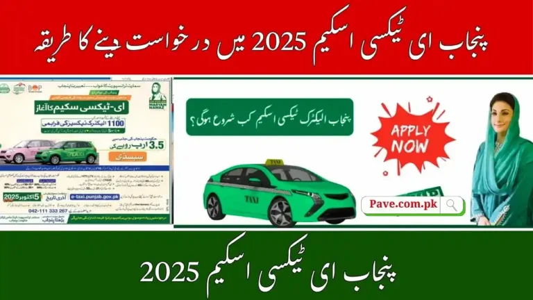 How to Apply for Punjab E-Taxi Scheme 2025 Online