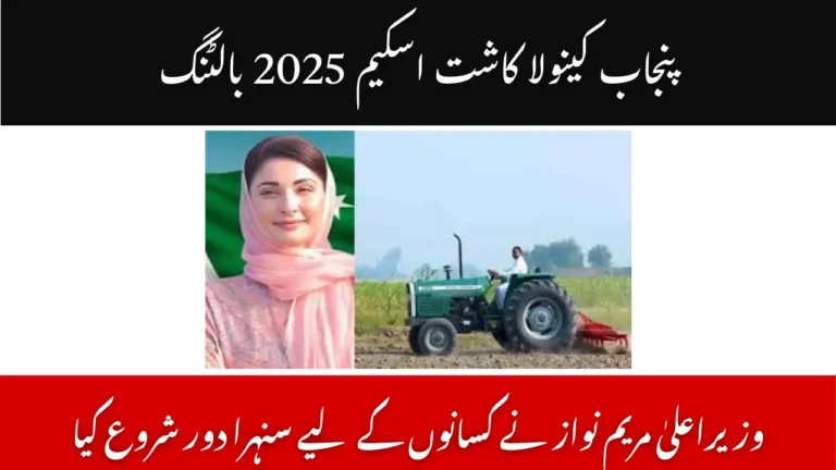 Punjab Canola Cultivation Scheme 2025 Balloting – CM Maryam Nawaz Ushers in a Golden Era for Farmers 2 Punjab Canola Cultivation Scheme 2025 Balloting