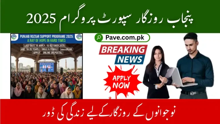 Punjab Rozgar Support Programme October 2025 – A Lifeline for Youth Employment 8 Punjab Rozgar Support Programme 2025