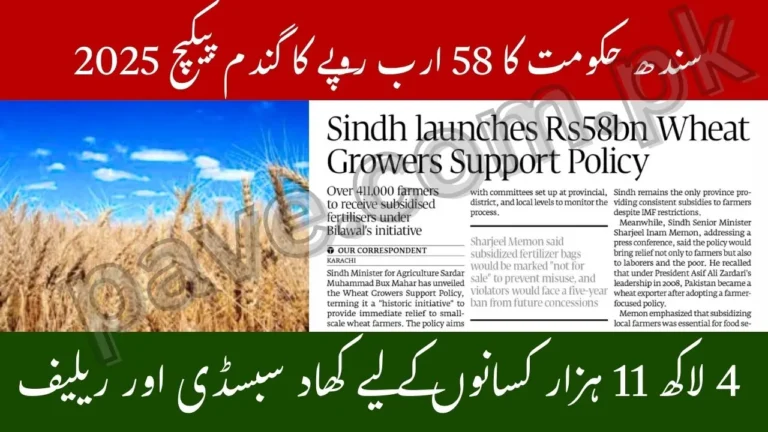 Sindh Govt Rs58bn Wheat Package 2025 – Over 411,000 Farmers to Get Subsidized Fertilizers 7 Sindh Govt Rs58bn Wheat Package 2025