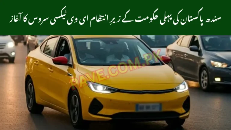 Sindh to Launch Pakistan’s First Government-Operated EV Taxi Service 1 Sindh to Launch Pakistan’s First Government-Operated EV Taxi Service