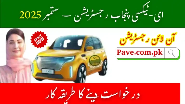 Common Issues in e-Taxi Punjab Registration – September 2025 8 e-Taxi Punjab Registration