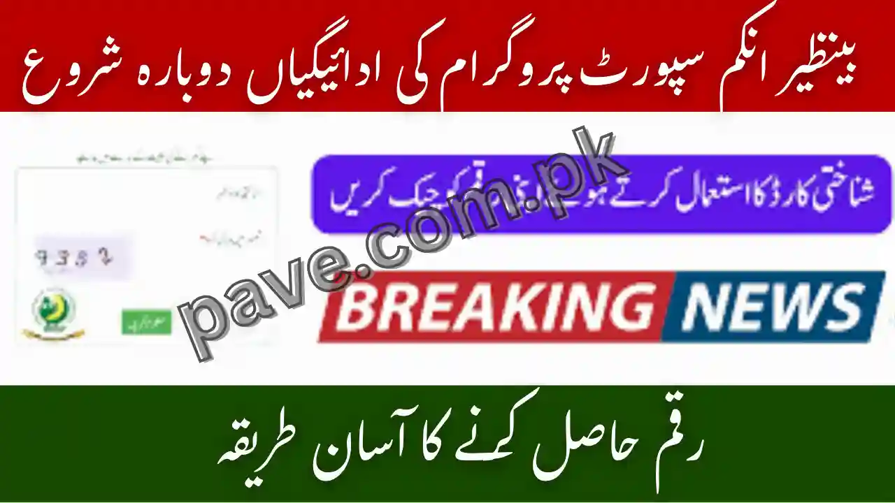 8171 Check Online CNIC November 2025: BISP Payments Restart, Eligibility, Schedule & Withdrawal Process 1 8171 Check Online CNIC November 2025