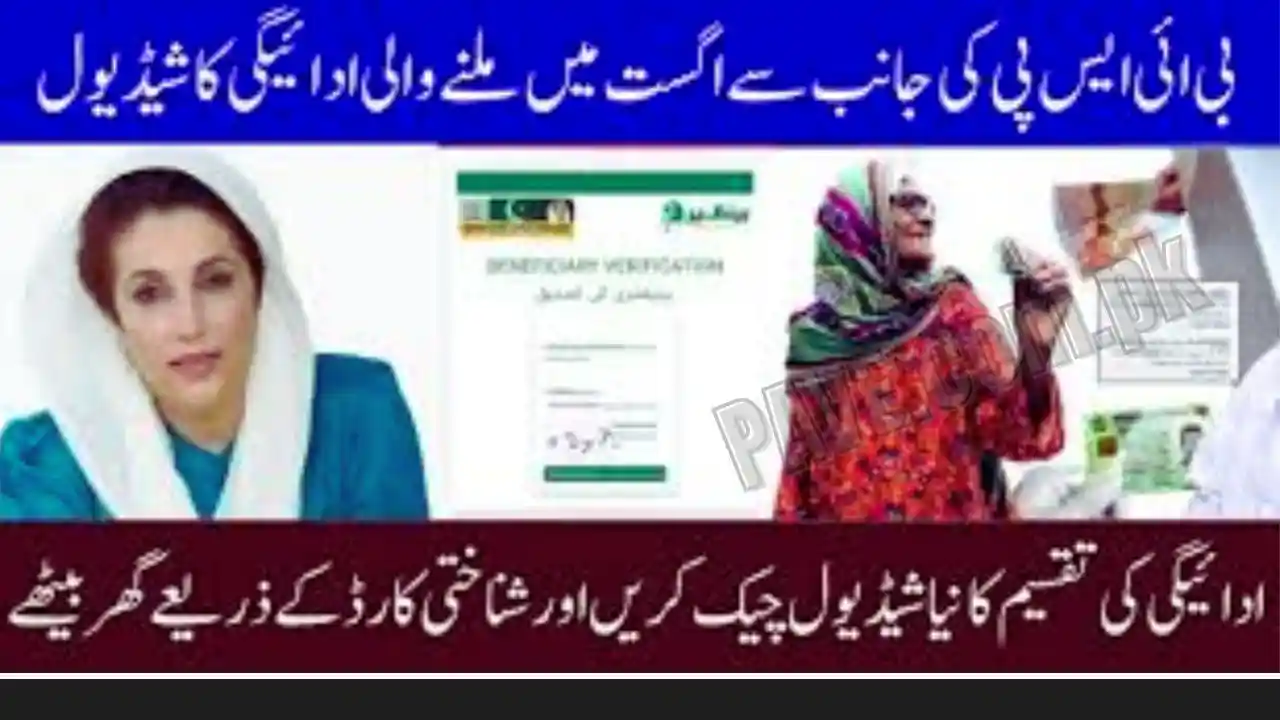 BISP 8171 Eligibility & Payment Status Check 2025