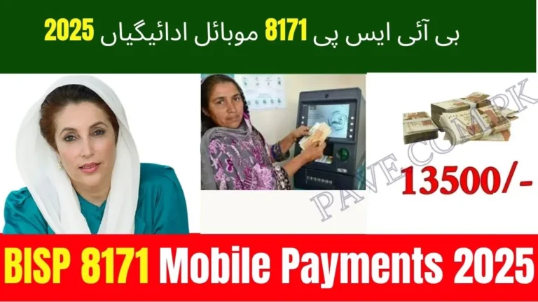 BISP 8171 Mobile Payments 2025