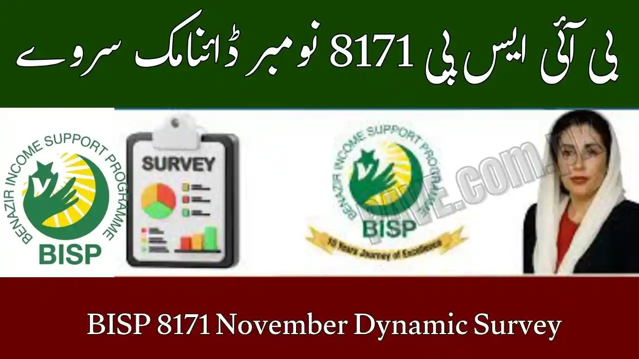 BISP 8171 November Dynamic Survey