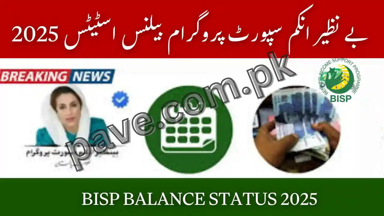 BISP Balance Status 2025