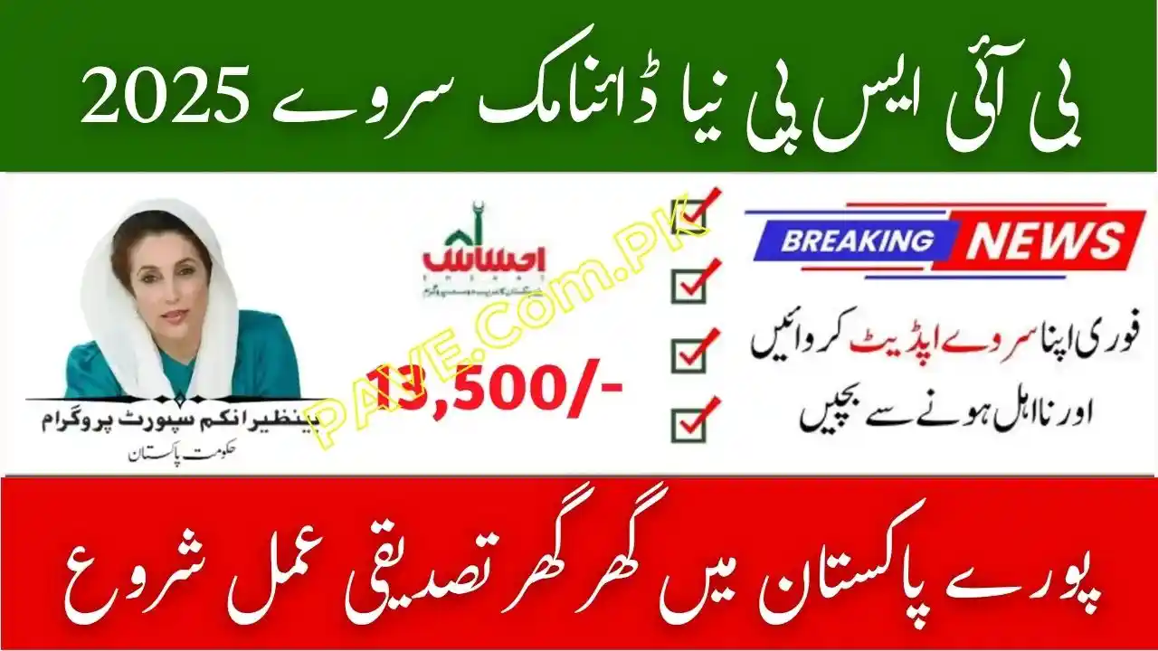 BISP New Dynamic Survey 2025