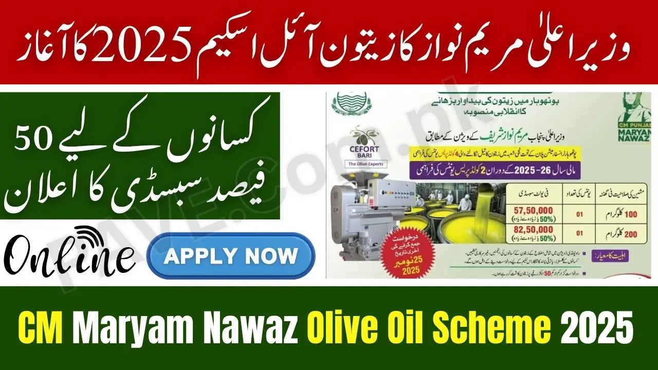 CM Maryam Nawaz Launches Olive Oil Scheme 2025 — 50% Subsidy for Extraction Units in Punjab 1 CM Maryam Nawaz Launches Olive Oil Scheme 2025