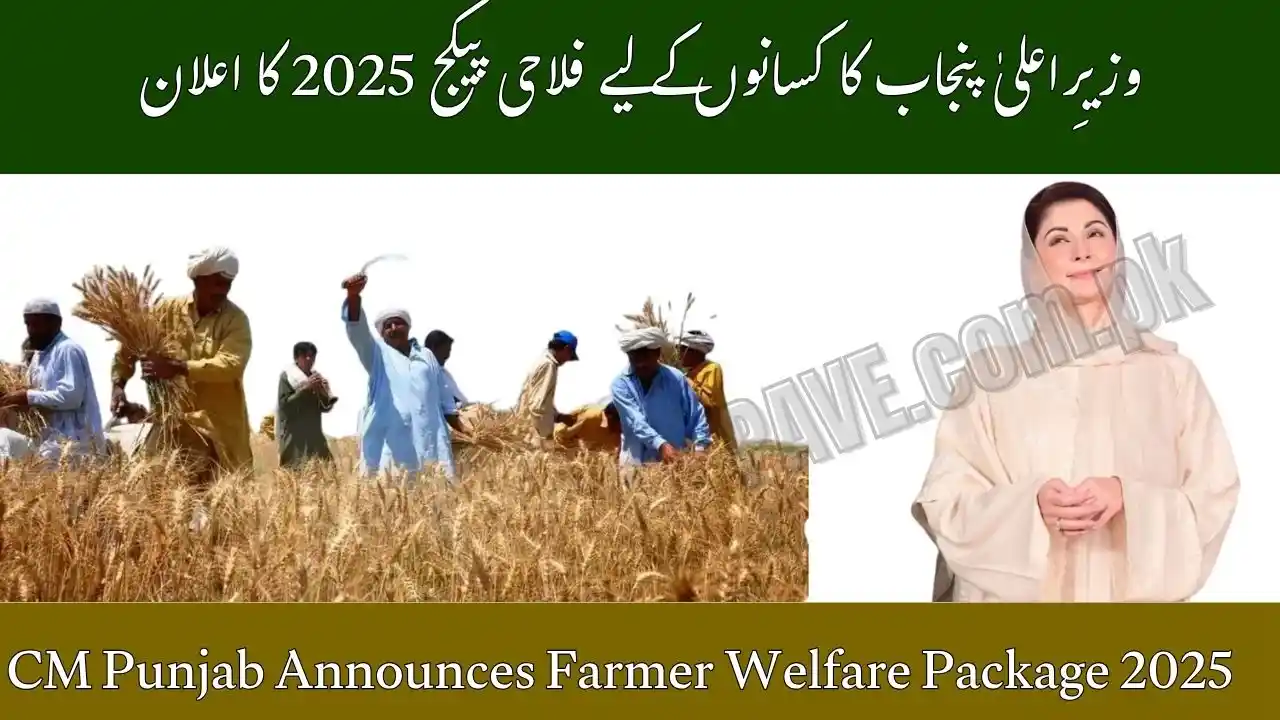 CM Punjab Announces Farmer Welfare Package 2025