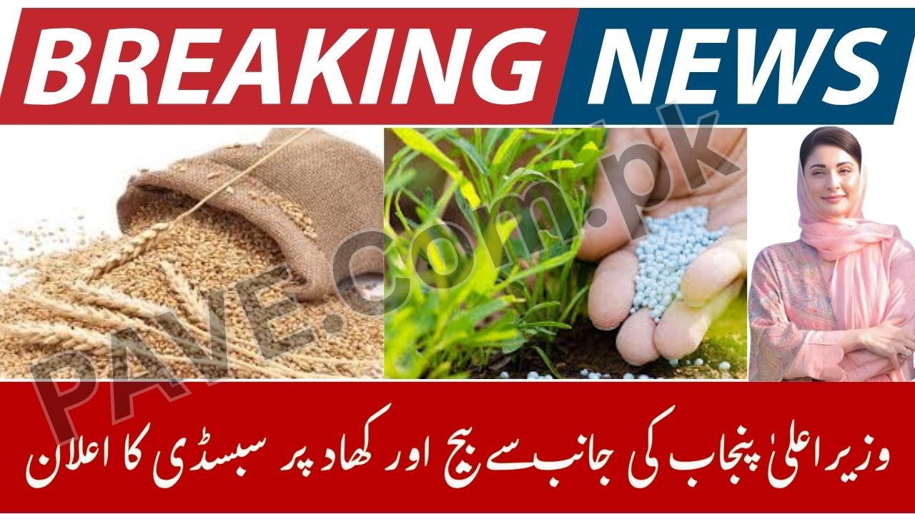 CM Punjab Announces Seed and Fertilizer Subsidy 2025 for Farmers