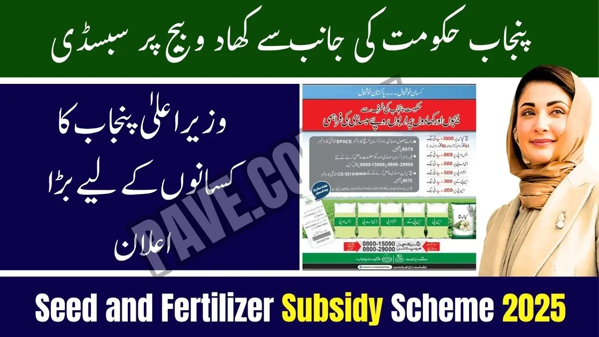 CM Punjab Announces Seed and Fertilizer Subsidy Scheme 2025