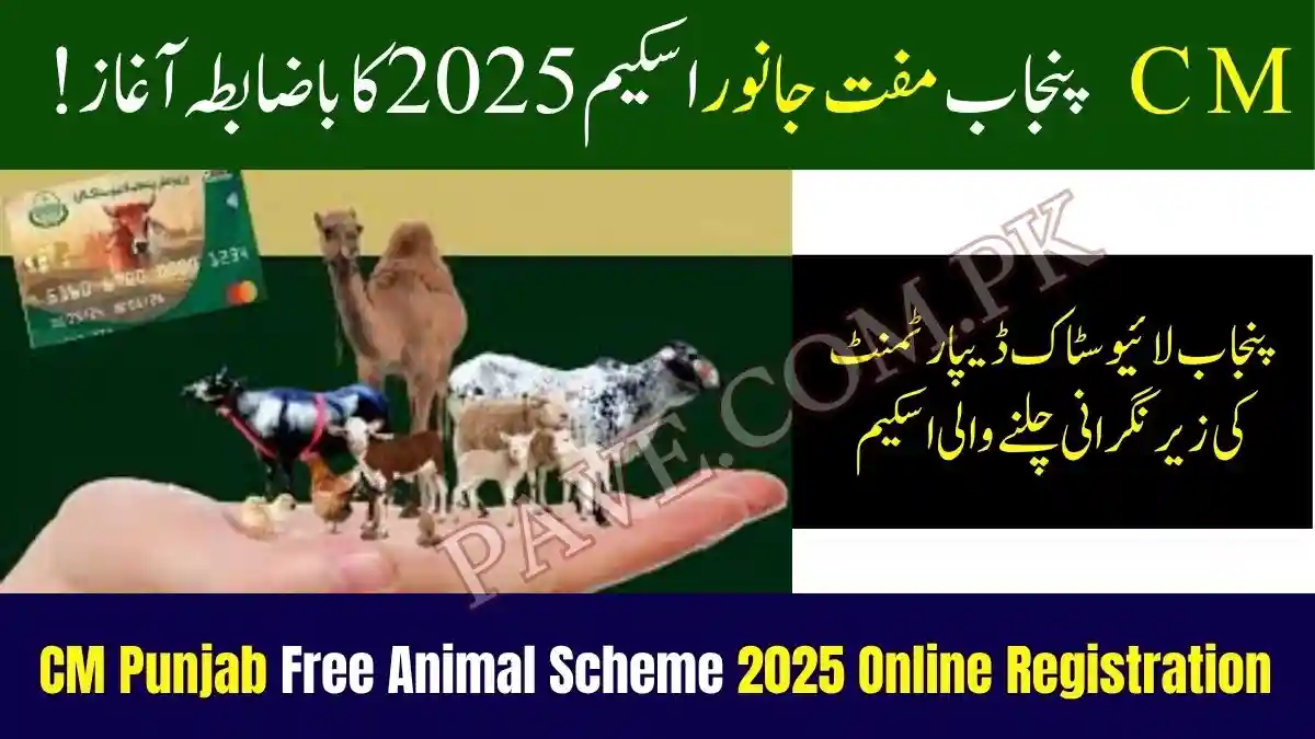 CM Punjab Free Animal Scheme 2025 Online Registration