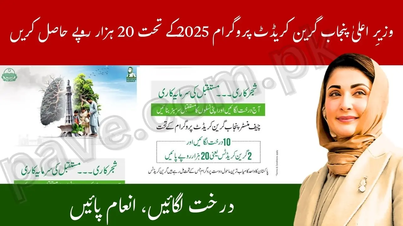CM Punjab Launches Green Credit Program 2025 Plant 10 Trees and Get Rs 20000 Reward