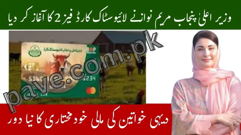 CM Punjab Launches Livestock Card Phase 2