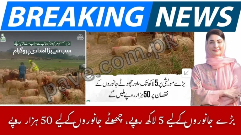 CM Punjab Livestock Flood Relief 2025