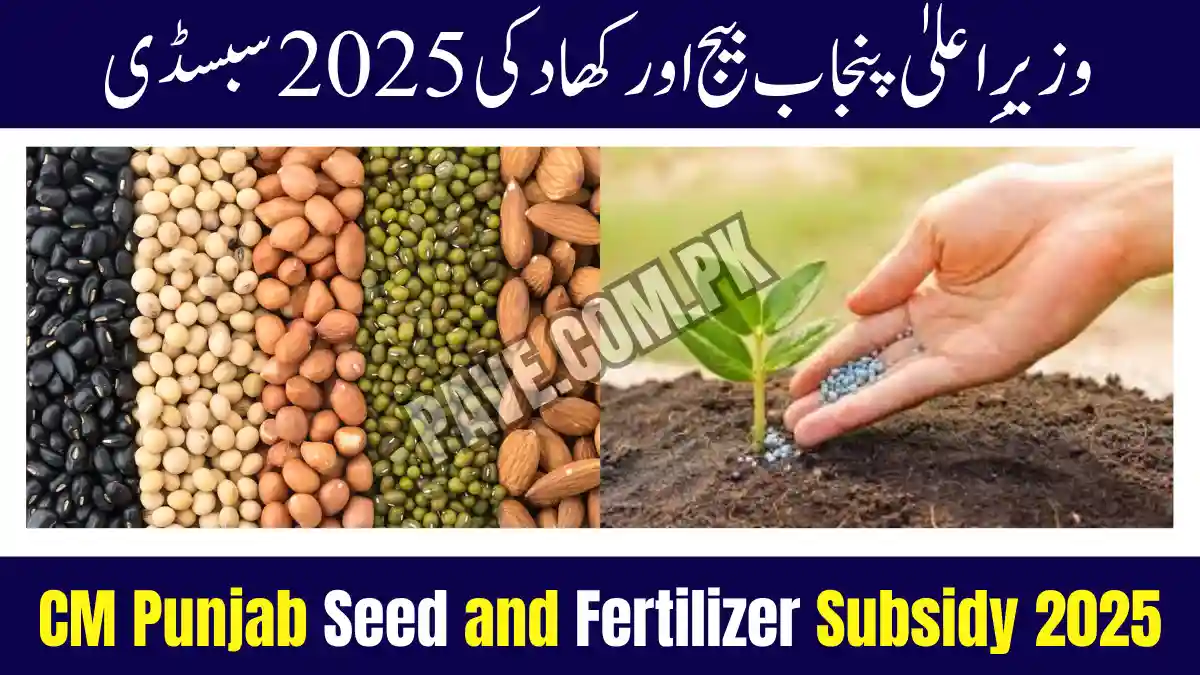 CM Punjab Announces Seed and Fertilizer Subsidy Scheme 2025