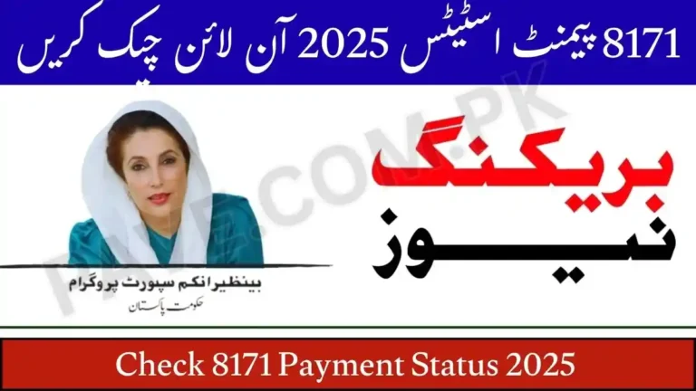Check 8171 Payment Status 2025