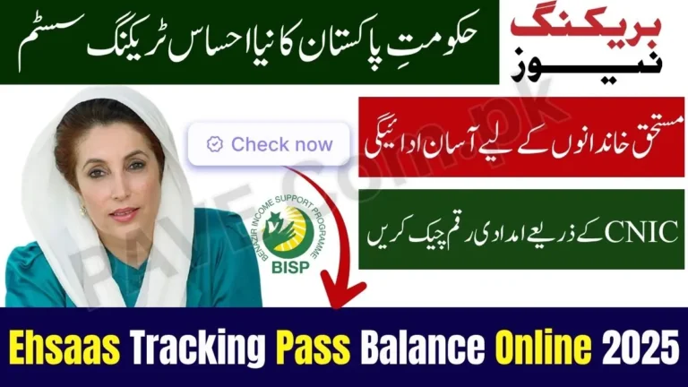 Check Ehsaas Tracking Pass Gov PK Balance Online 2025