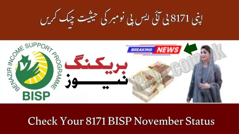 Check Your 8171 BISP November Status by CNIC Update 9 Check Your 8171 BISP November Status