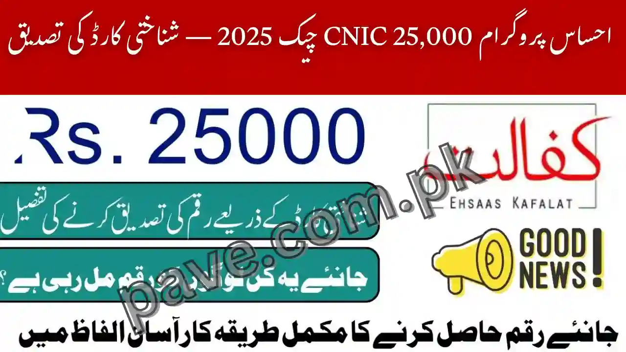 Ehsaas Program 25,000 CNIC Check 2025 — CNIC Confirmation, Eligibility & How to Receive 1 Ehsaas Program 25000 CNIC Check 2025