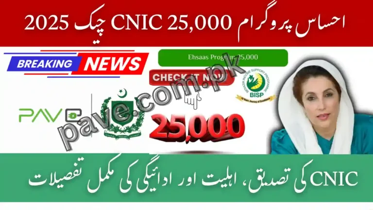 Ehsaas Program 25,000 CNIC Check 2025 — How to Verify CNIC, Eligibility & Payment Details 7 Ehsaas Program 25000 CNIC Check