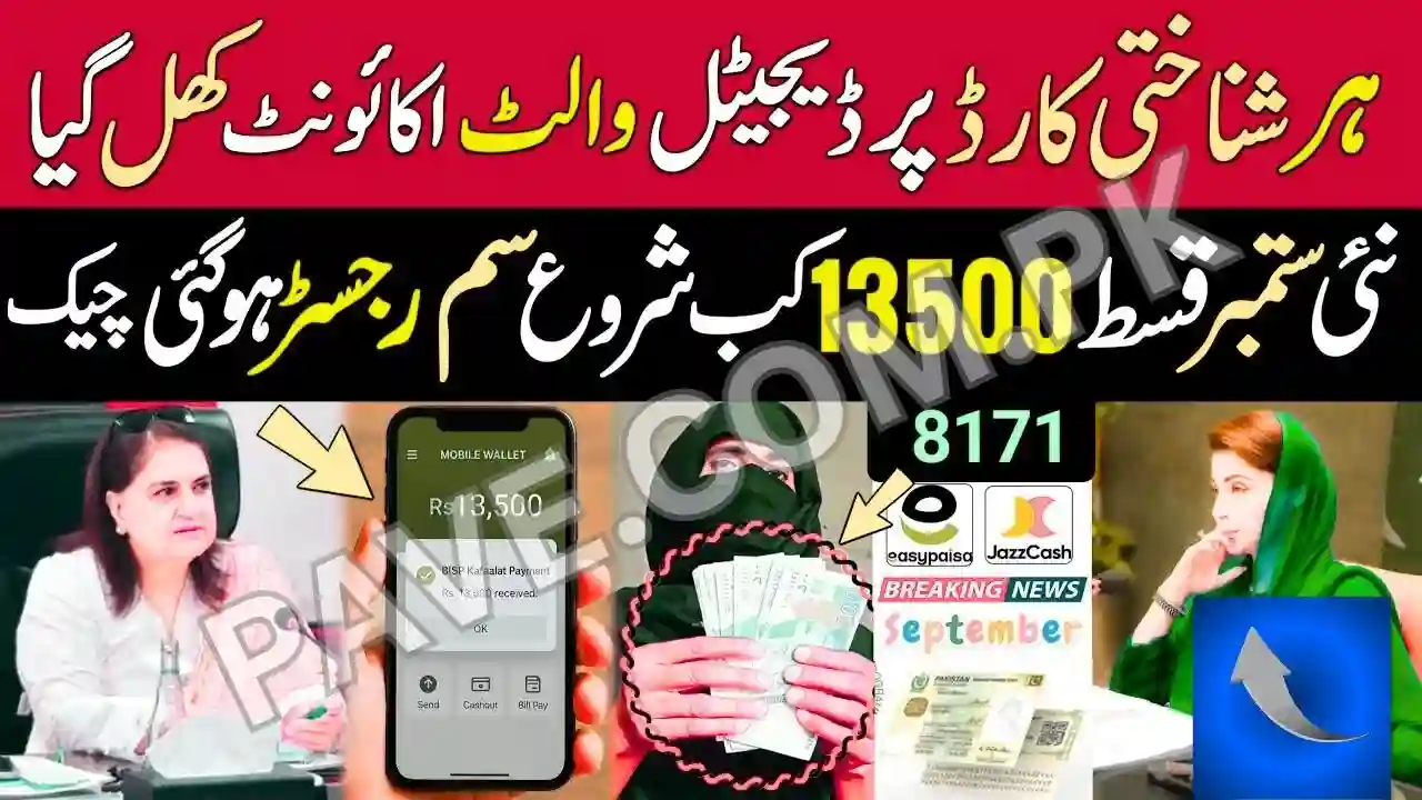 Ehsaas Program 25000 CNIC Check Online 2025