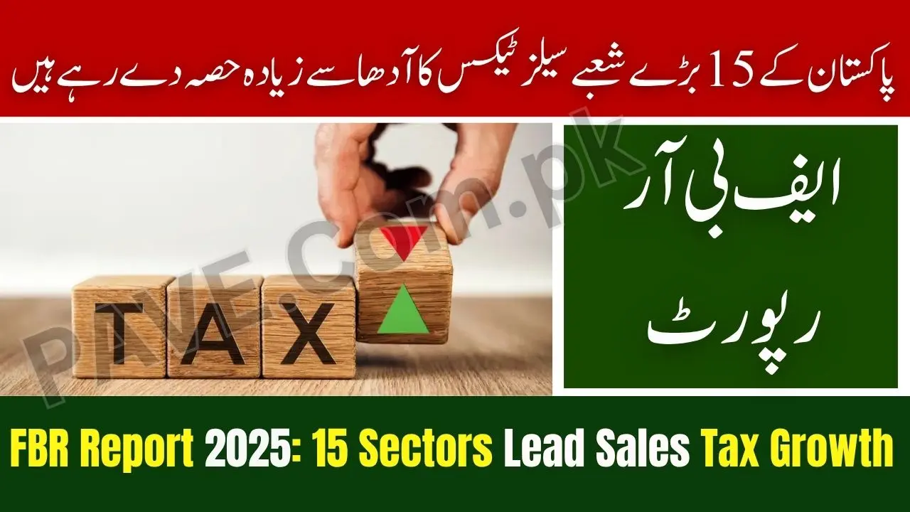 FBR Report 2025 15 Major Sectors Generate 57% of Pakistan’s Rs.1.6 Trillion Sales Tax Revenue 1 FBR Report 2025 15 Major Sectors Generate 57% of Pakistan’s Rs.1.6 Trillion Sales Tax Revenue