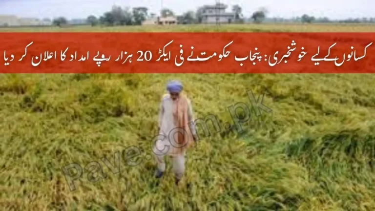 Farmers in Punjab to Receive Rs 20000 Per Acre for Crop Loss Compensation