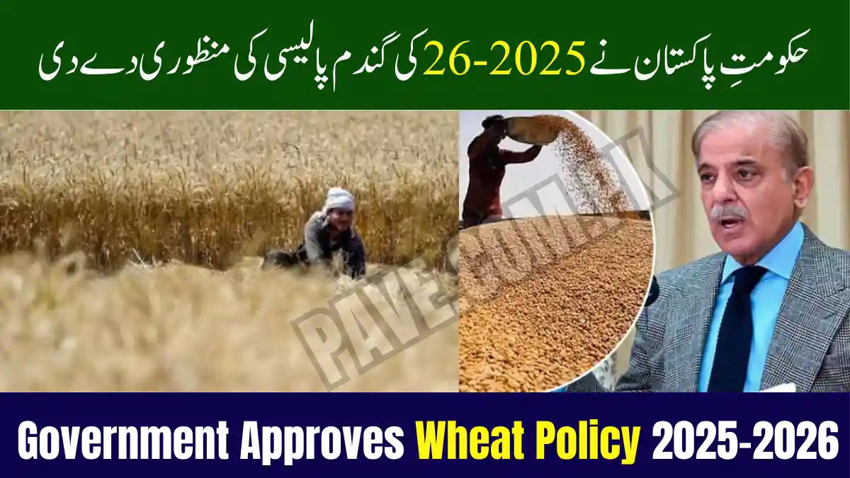 Government Approves Wheat Policy 2025–2026: A Historic Step for Farmers’ Prosperity 1 Government Approves Wheat Policy 2025–2026