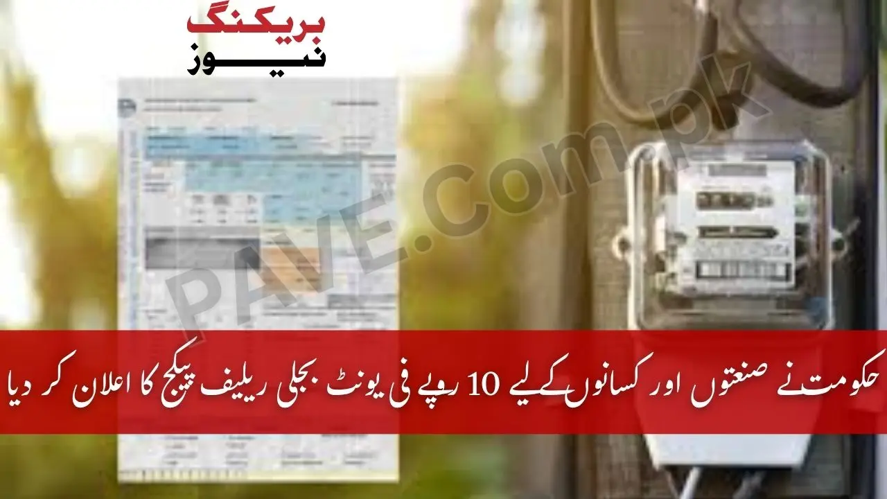 Breaking: Govt Announces Rs 10 Per Unit Power Relief Plan 2025 1 Govt Announces Rs 10 Per Unit Power Relief Plan 2025