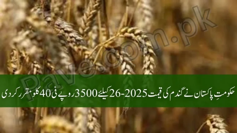 Govt Finalizes Wheat Procurement Rate 2025-26 at Rs 3500