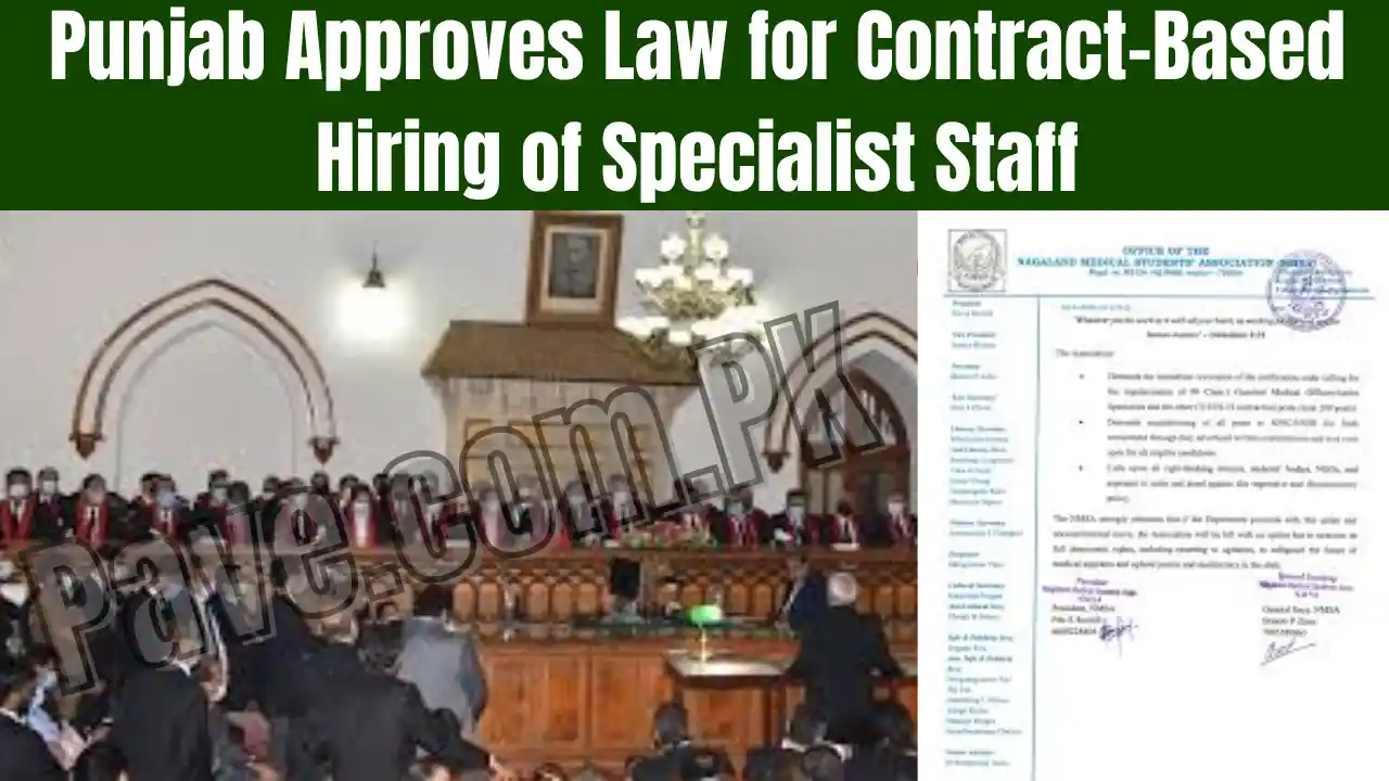 Punjab Approves Law for Contract-Based Hiring of Specialist Staff