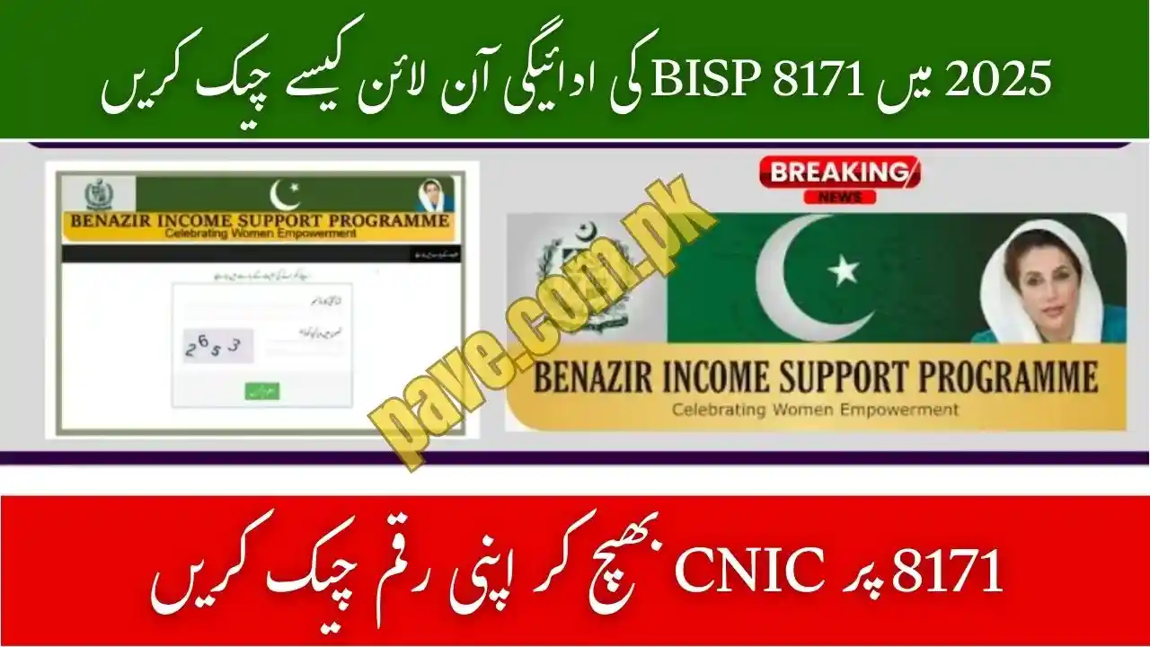 How to Check BISP 8171 Payment Status Online in 2025