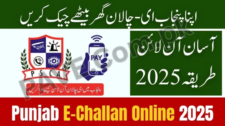 How to Check Punjab E-Challan Online 2025 — Step-by-Step Guide on PSCA Website 10 How to Check Punjab E-Challan Online 2025