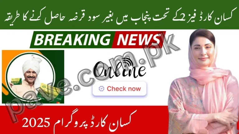 How to Get Interest-Free Loan Through Punjab Kisan Card Phase 2 2 How to Get Interest-Free Loan Through Punjab Kisan Card Phase 2