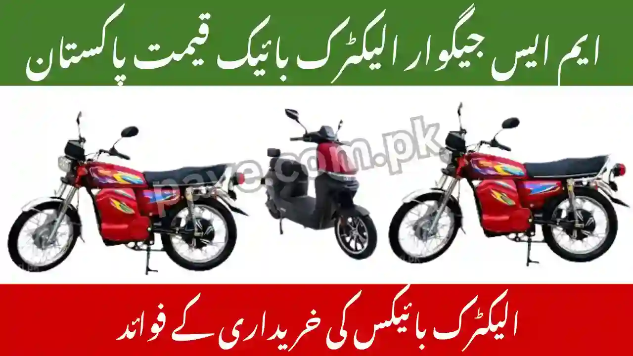 MS Jaguar Electric Bike Price Pakistan