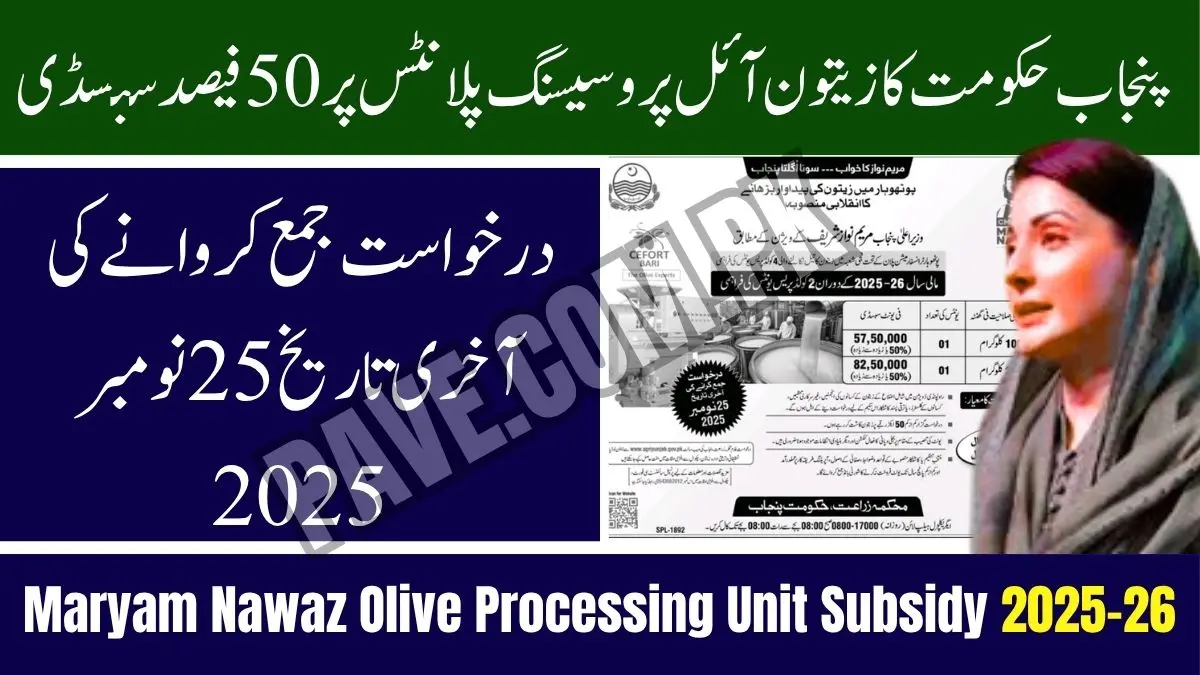 Maryam Nawaz Launches Olive Processing Unit Subsidy 2025-26 – Check Eligibility Criteria and Deadline 1 Maryam Nawaz Launches Olive Processing Unit Subsidy 2025-26