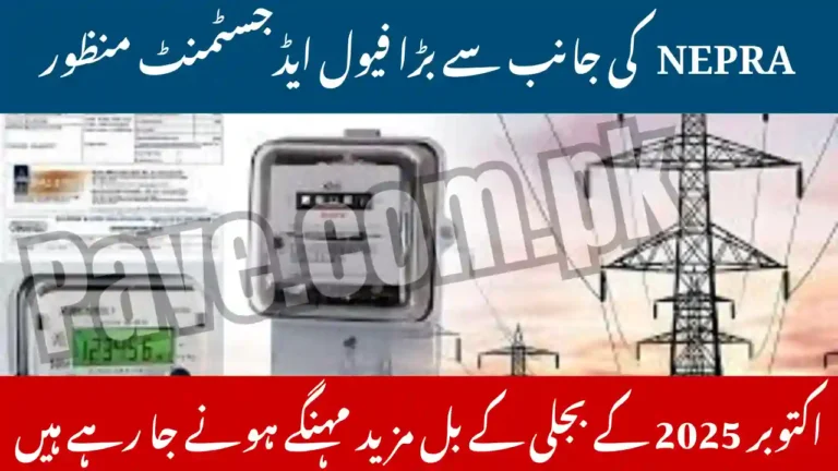NEPRA Approves Power Tariff Increase for October 2025 – Consumers Set for Higher Electricity Bills 8 NEPRA Approves Power Tariff Increase for October 2025