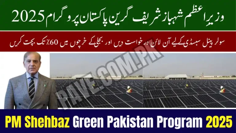 PM Shehbaz Green Pakistan Program 2025 — Apply Online for Solar Panel Subsidy and Save Up to 60% on Power Costs 4 PM Shehbaz Green Pakistan Program 2025