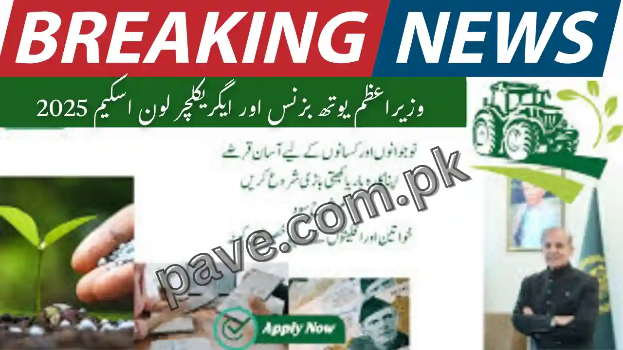 PM Youth Business & Agriculture Loan Scheme 2025 Apply now 1 PM Youth Business & Agriculture Loan Scheme 2025