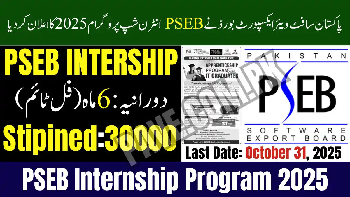 PSEB Internship Program
