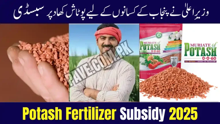 CM Punjab Announces Potash Fertilizer Subsidy 2025