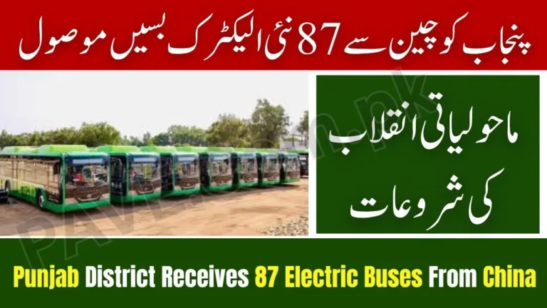 Punjab District Receives 87 Electric Buses From China