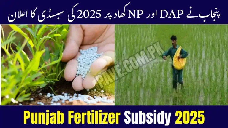 Punjab Govt Launches DAP and NP Fertilizer Subsidy Program 2025